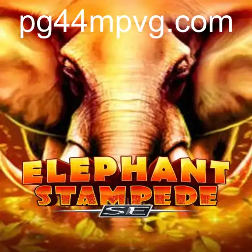 ElephantStampedeSE